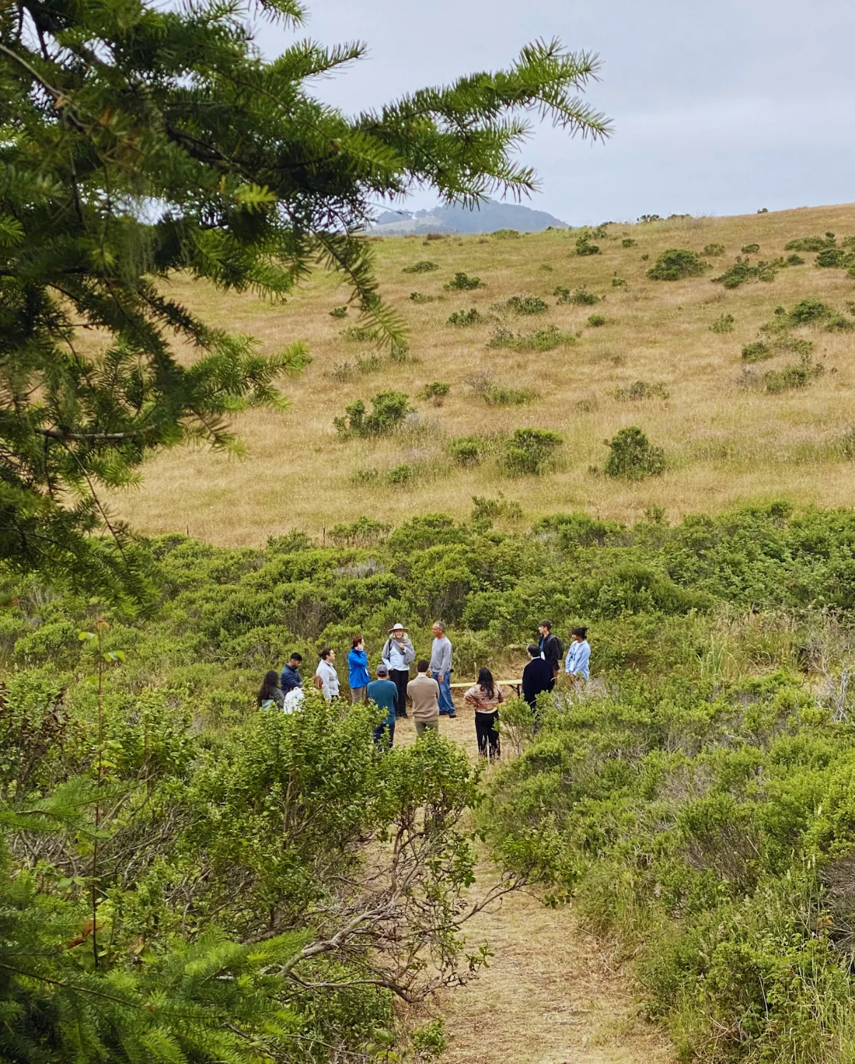 Land partners gathered in a restored coastal grassland