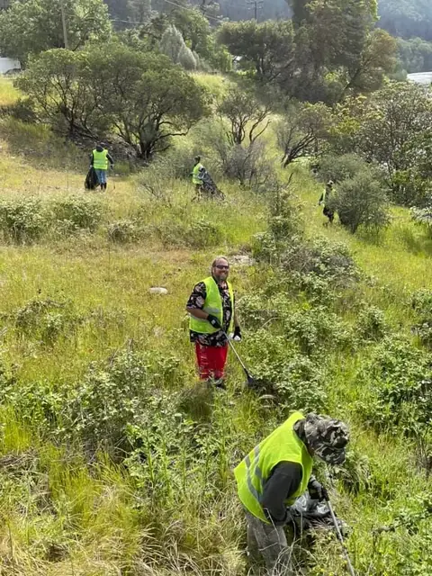 Reforestation native tree planting